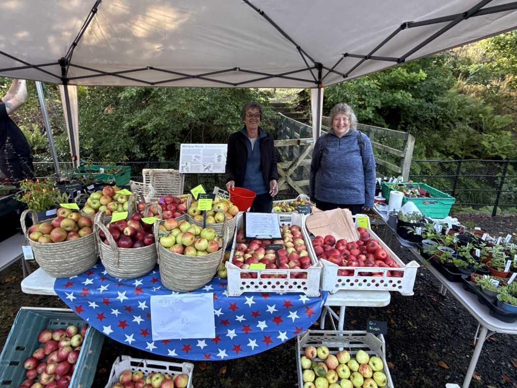 Fruit and Harvest Festival at the Mill