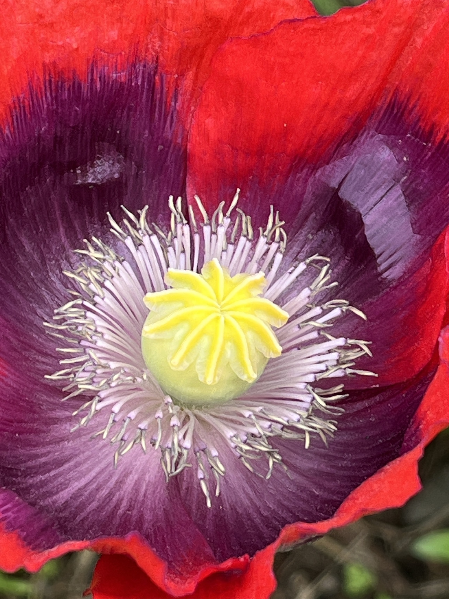 Summer Fun at the Mill